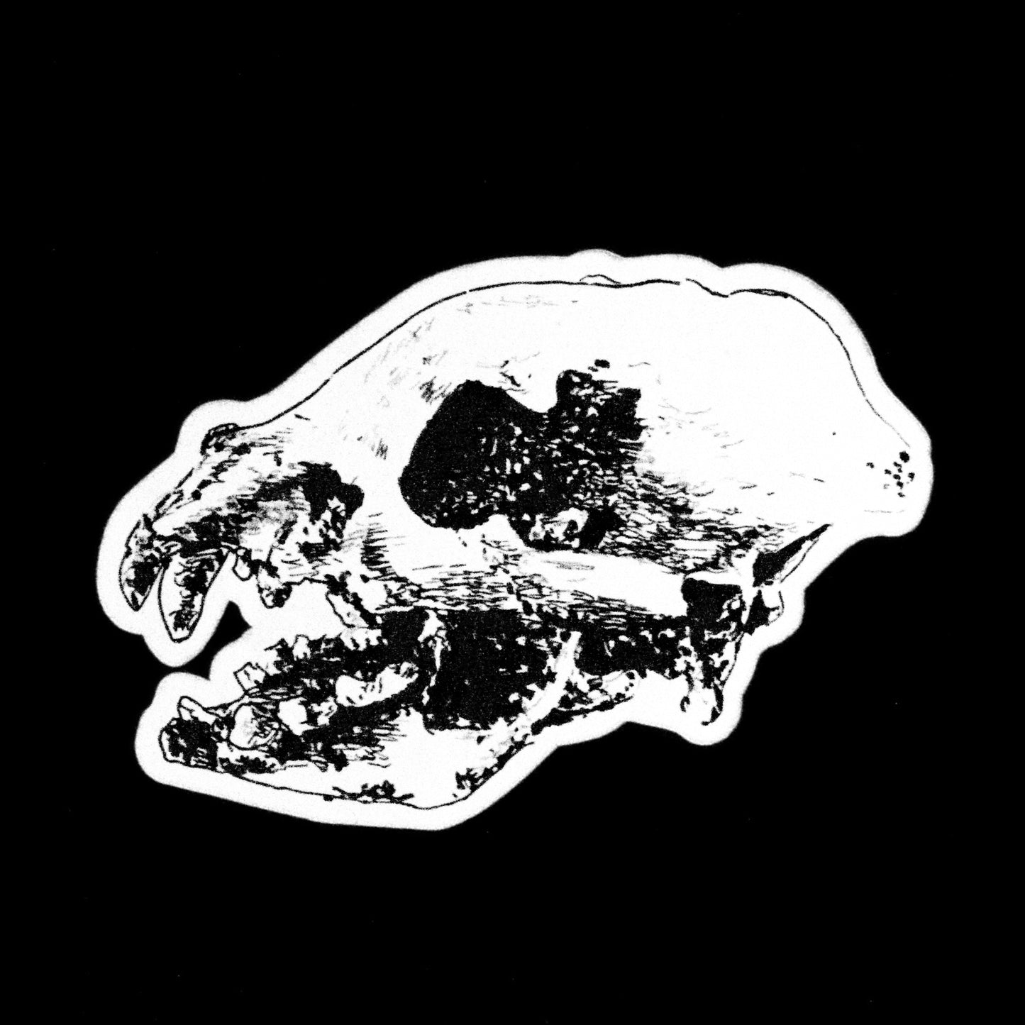 Cat Skull Sticker